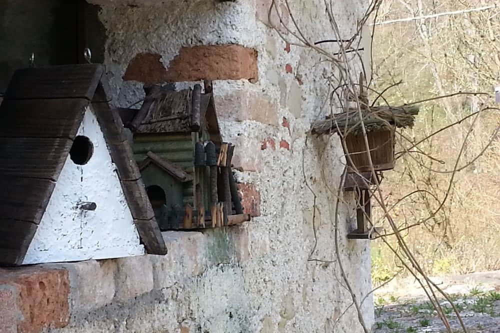 Photo of Outdoor in Follina