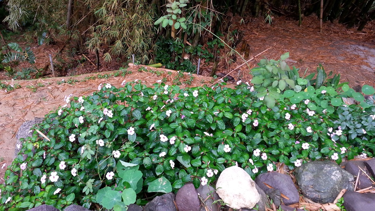 Photo of Outdoor in Trenchtown