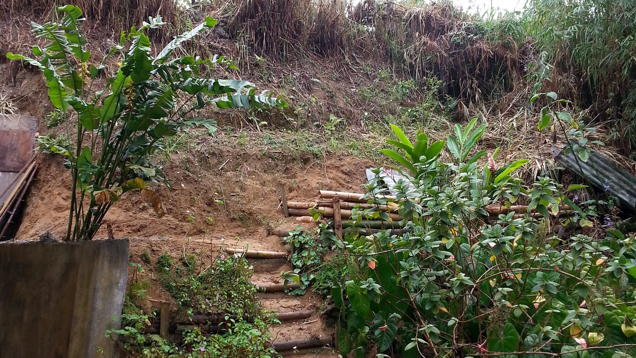 Photo of Outdoor in Trenchtown