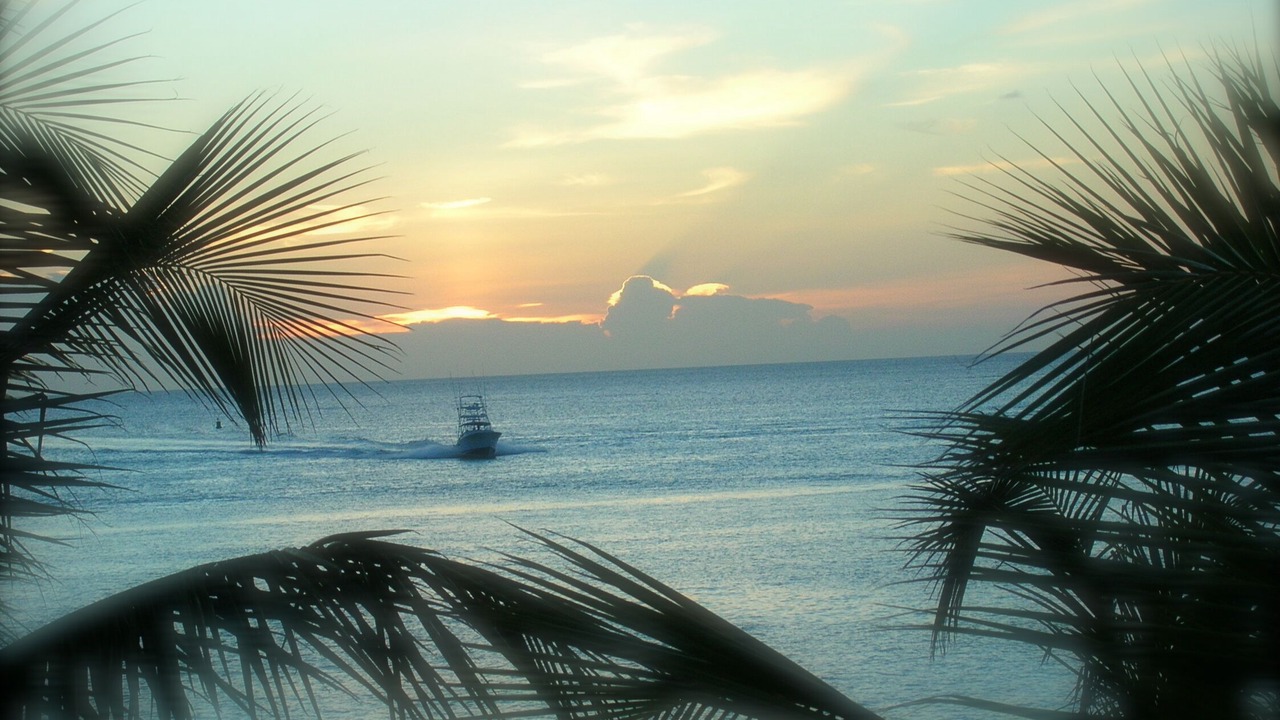 Photo of Others in South Bimini