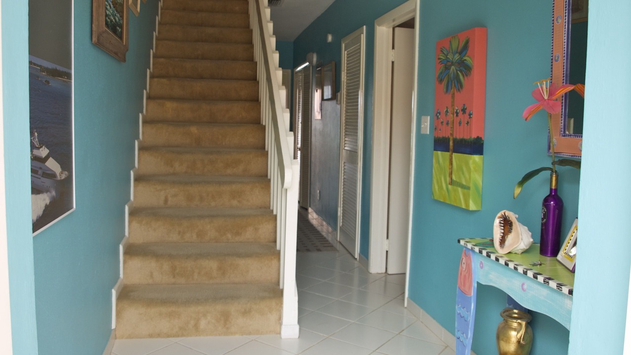 Photo of Others in South Bimini