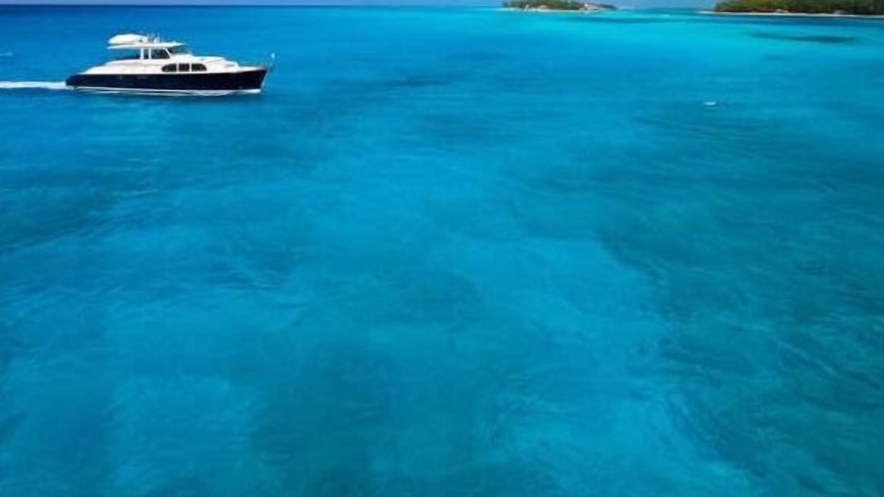 Photo of Outdoor in South Bimini