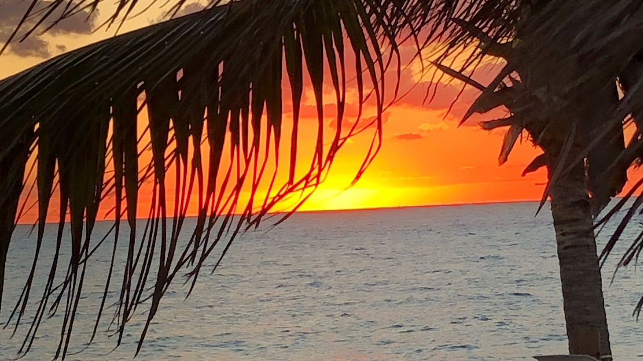 Photo of Others in South Bimini