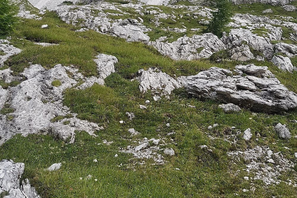 Photo of Outdoor in Comelico Superiore
