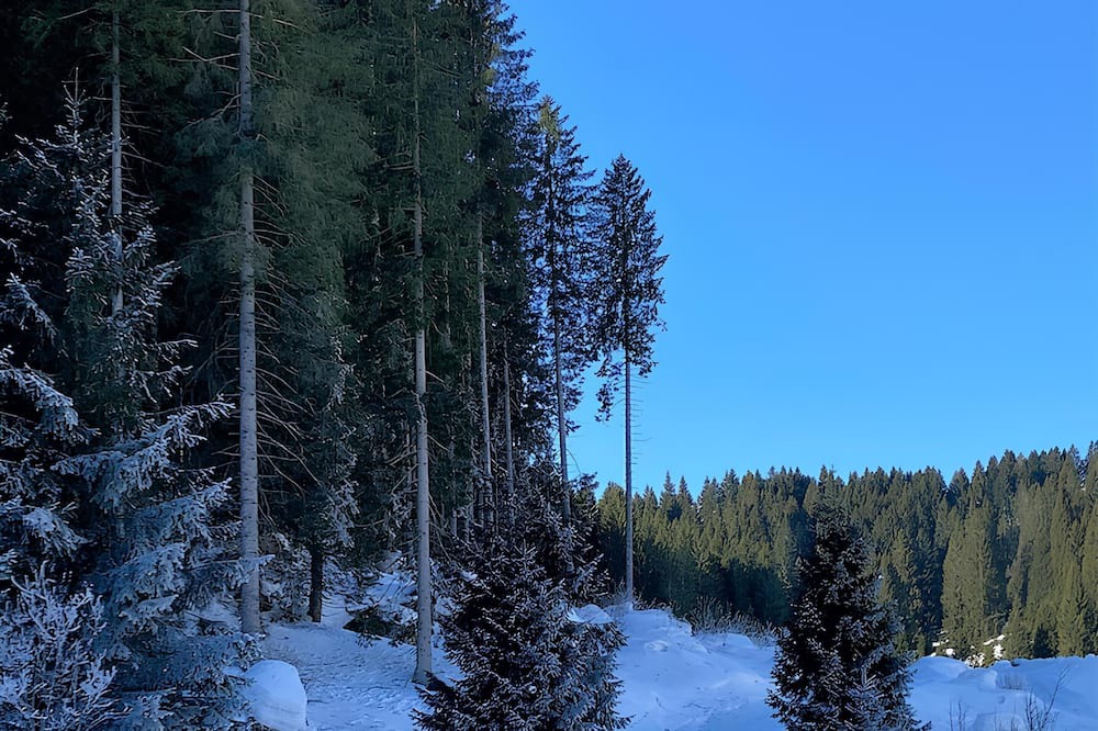 Photo of Outdoor in Gallio
