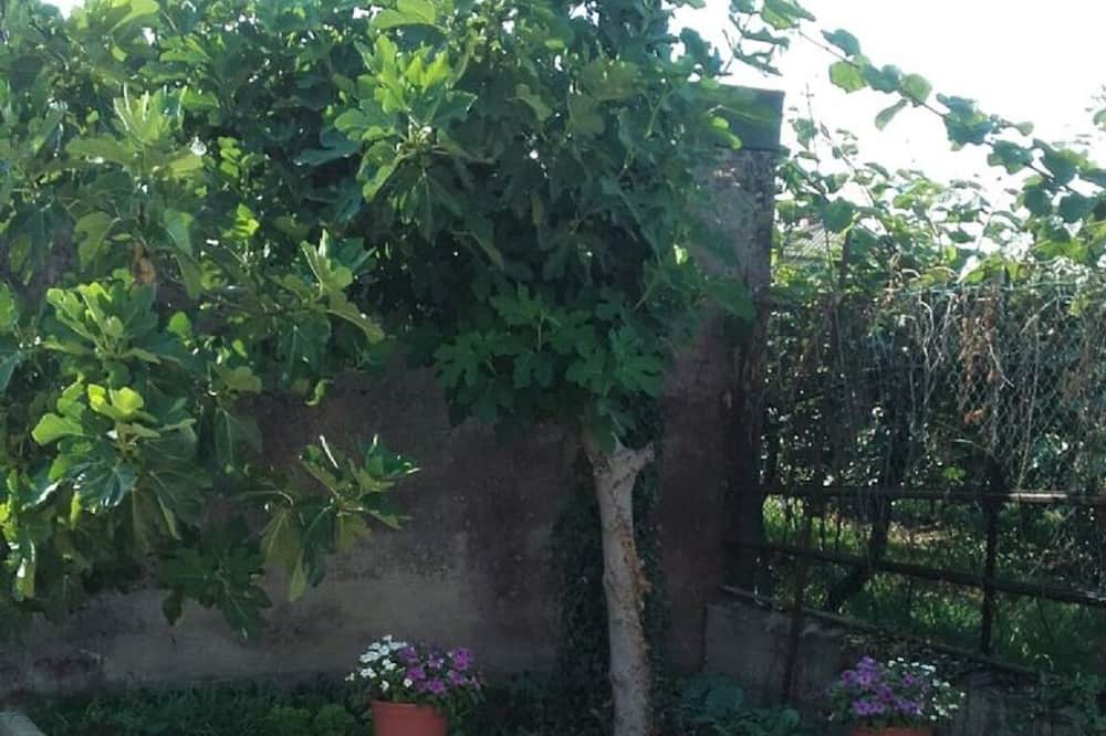 Photo of Outdoor in Villafranca di Verona