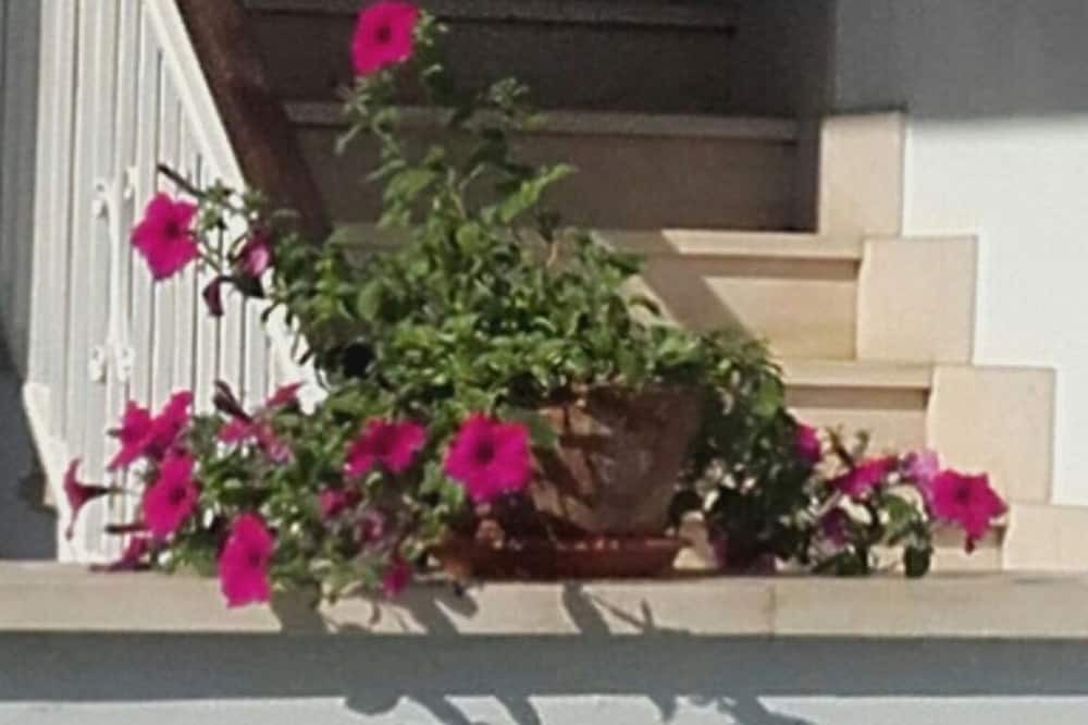 Photo of Others in Villafranca di Verona