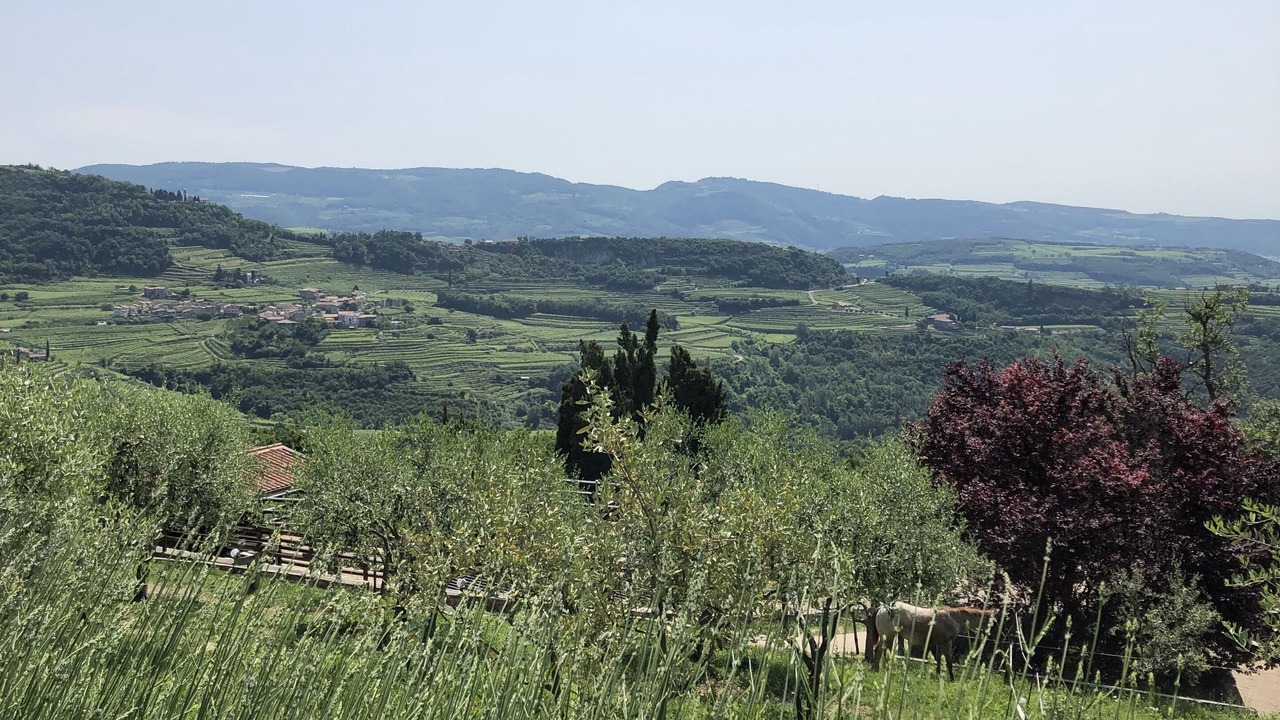 Photo of Others in Fumane
