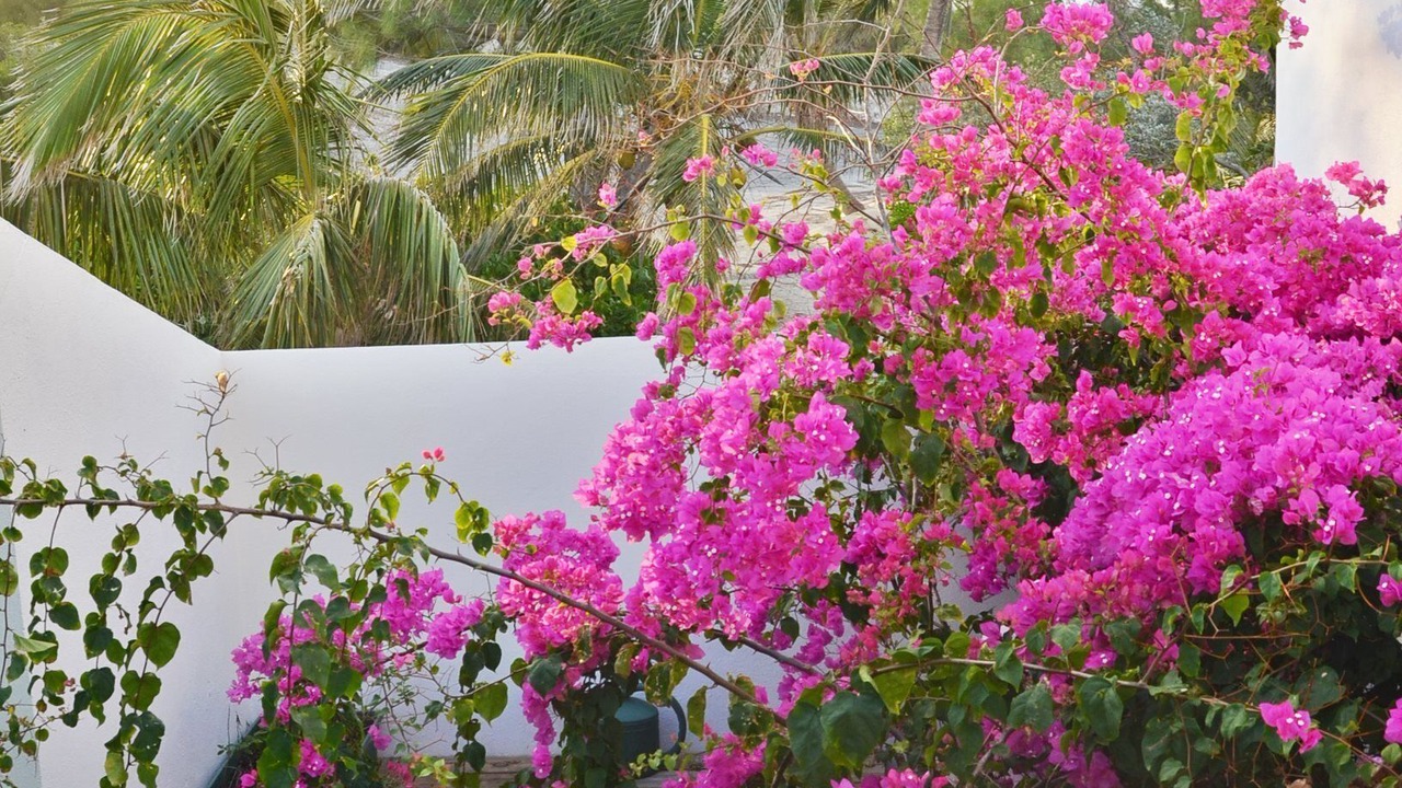 Photo of Outdoor in Stella Maris
