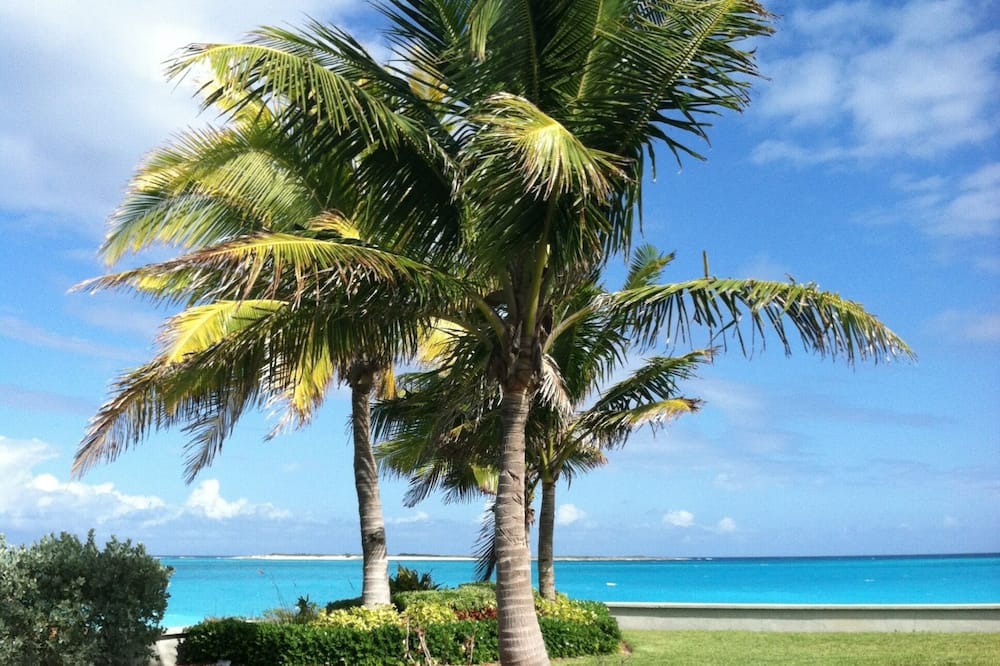 Photo of Outdoor in Jimmy Hill