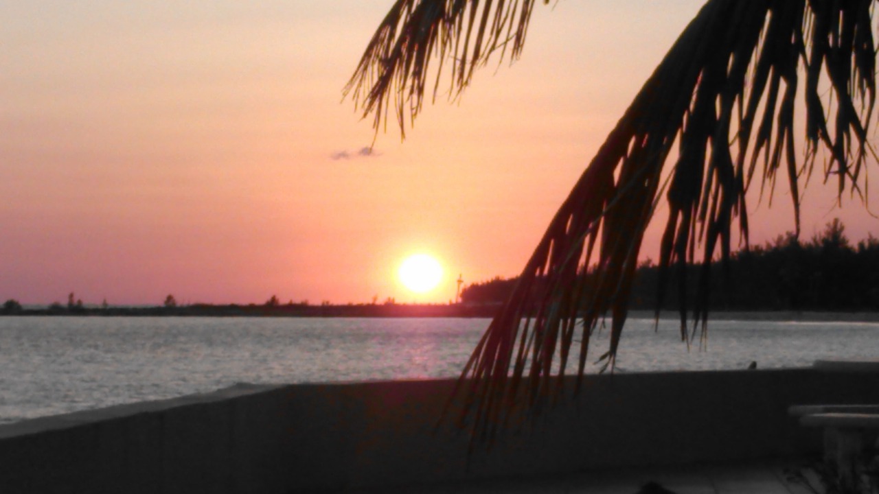 Photo of Others in Bahamas Terrace