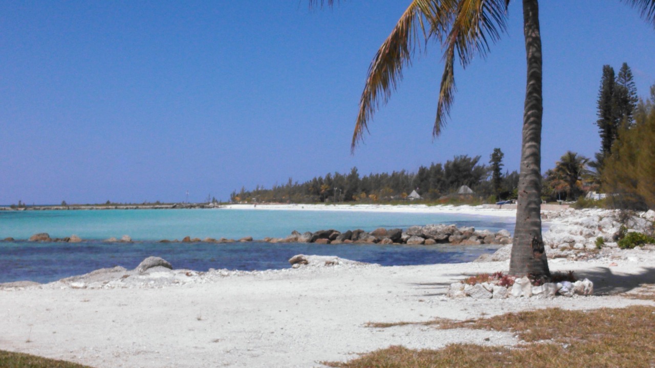 Photo of Others in Bahamas Terrace