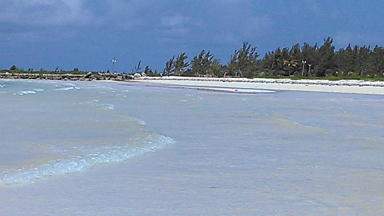 Photo of Others in Bahamas Terrace
