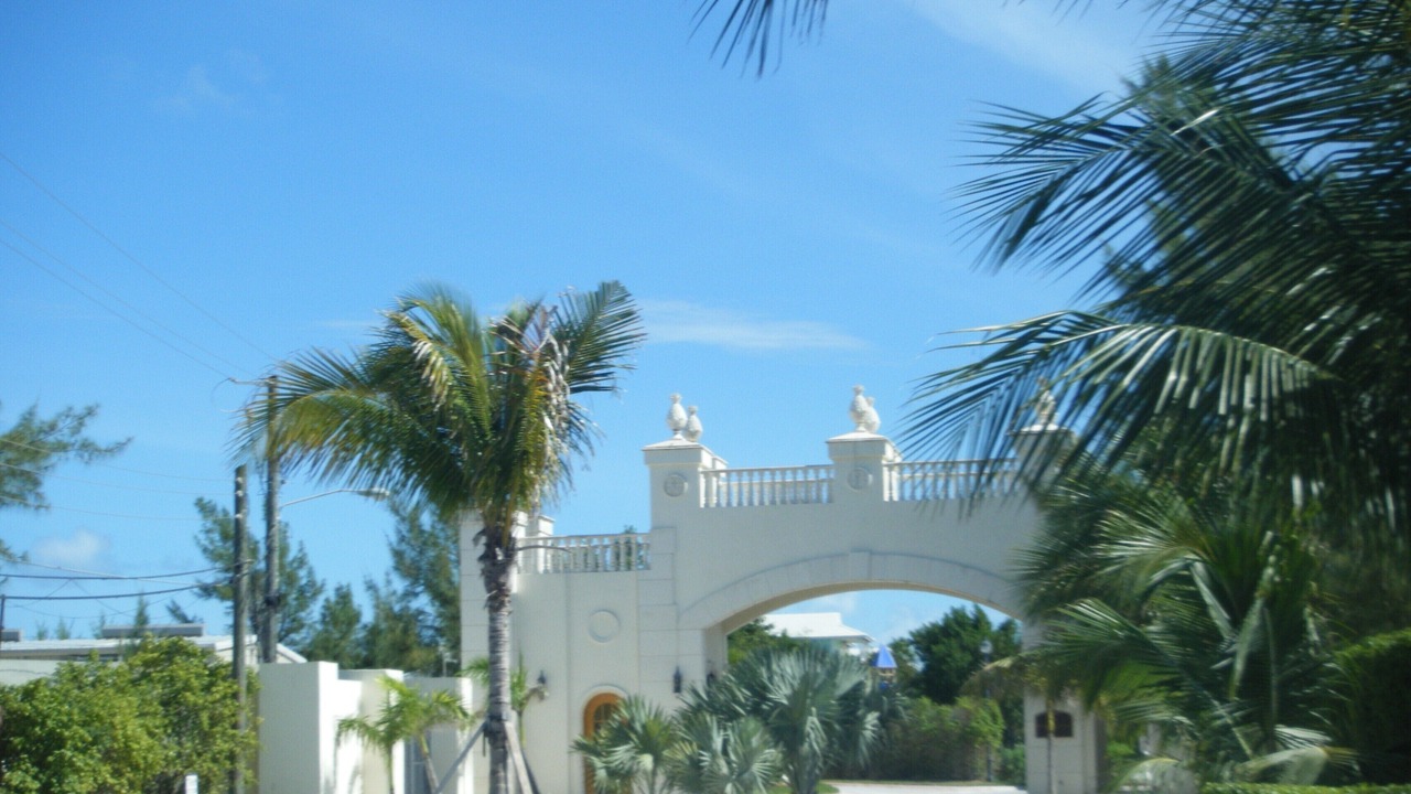 Photo of Outdoor in Alice Town