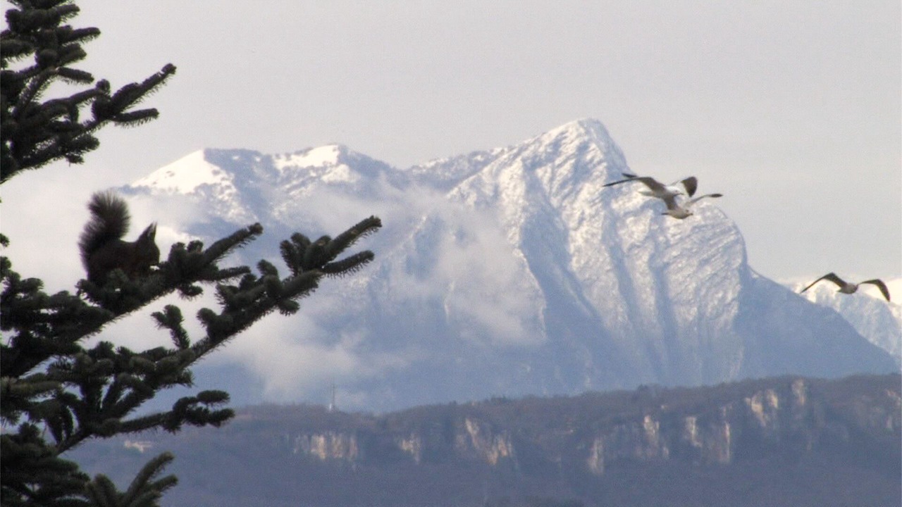 Photo of Others in Bussolengo