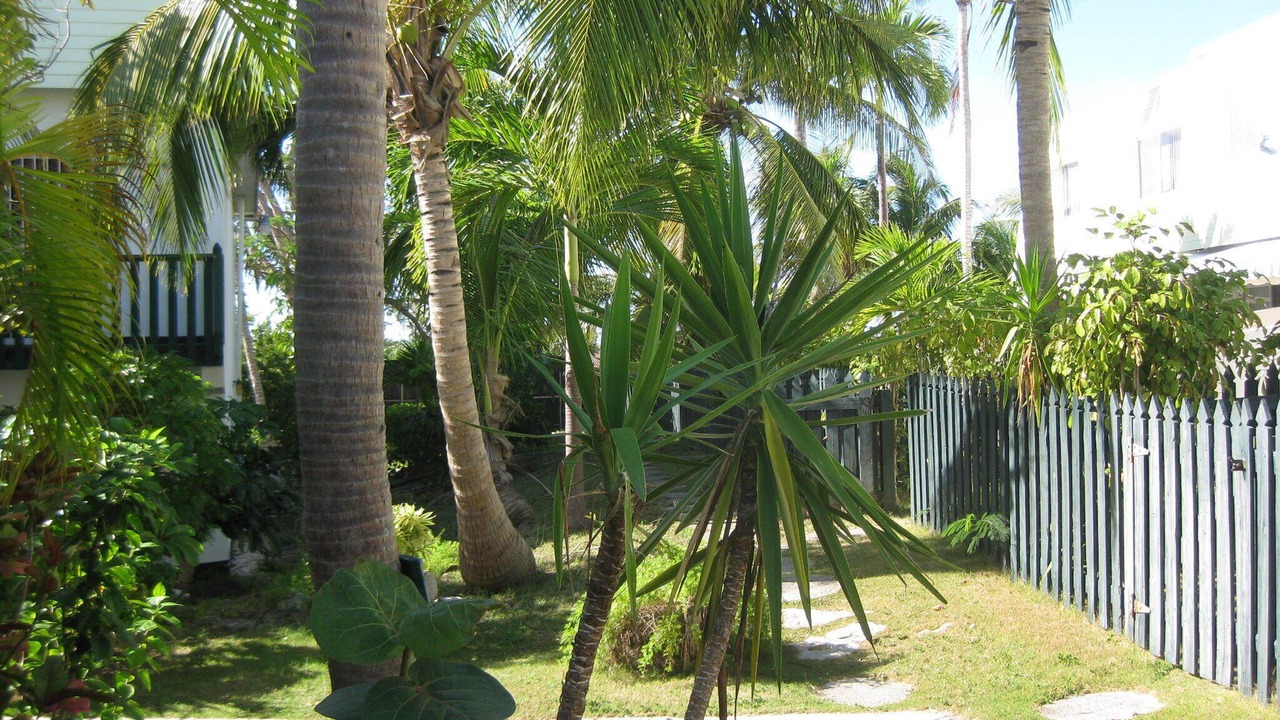 Photo of Outdoor in Paradise Island