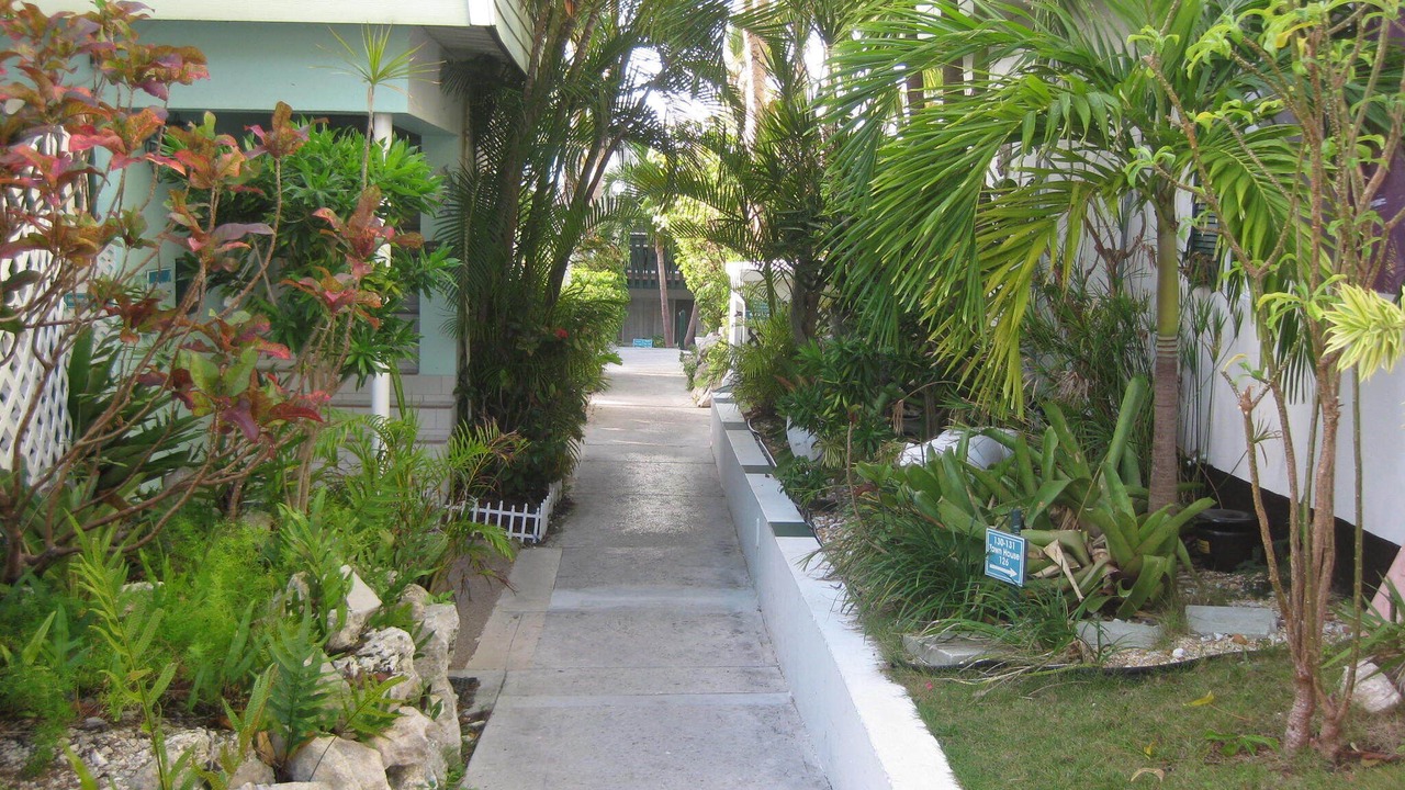 Photo of Outdoor in Paradise Island