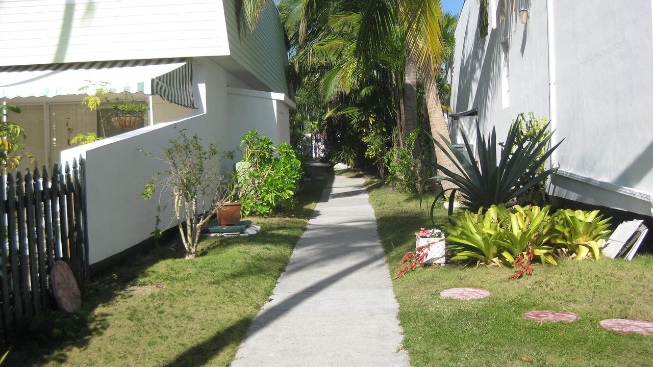 Photo of Outdoor in Paradise Island