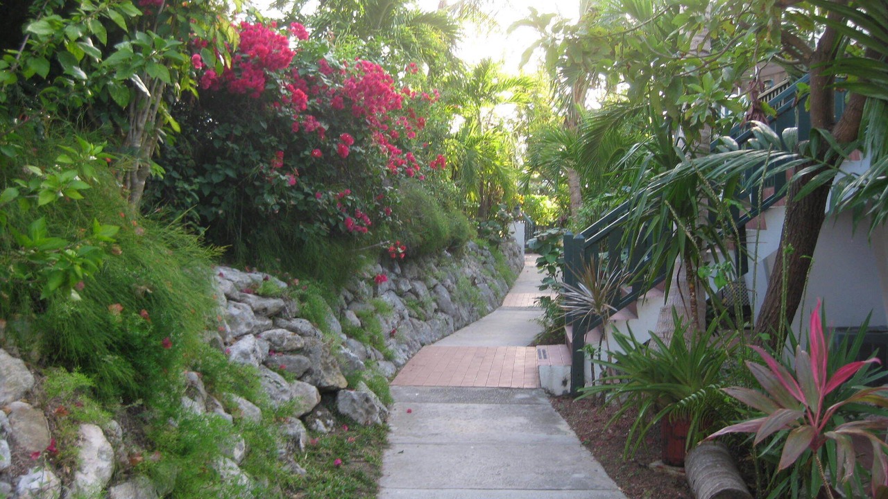 Photo of Outdoor in Paradise Island