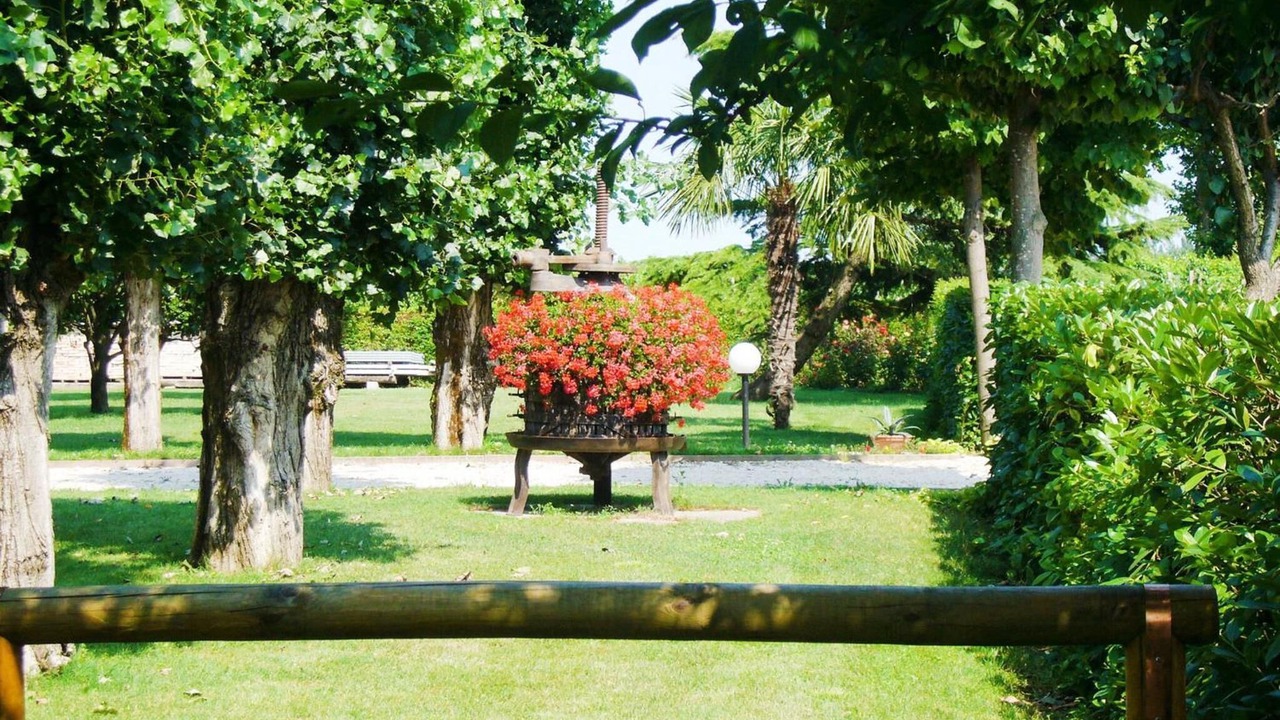 Photo of Outdoor in Meolo
