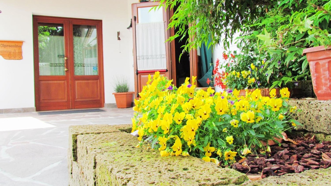 Photo of Outdoor in Meolo