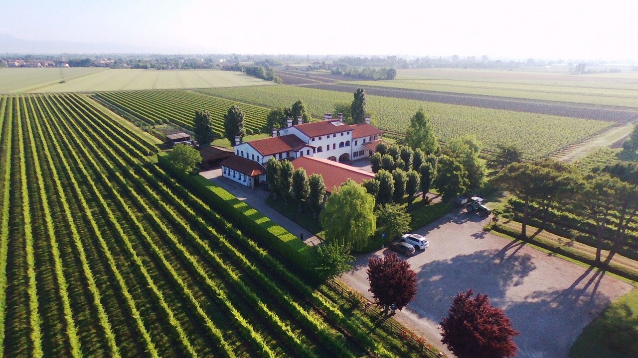 Photo of Outdoor in Meolo