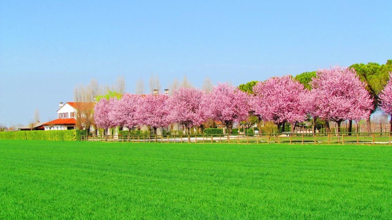 Photo of Outdoor in Meolo