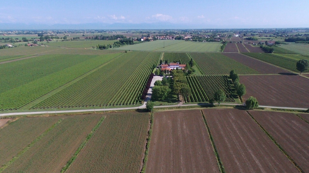 Photo of Outdoor in Meolo