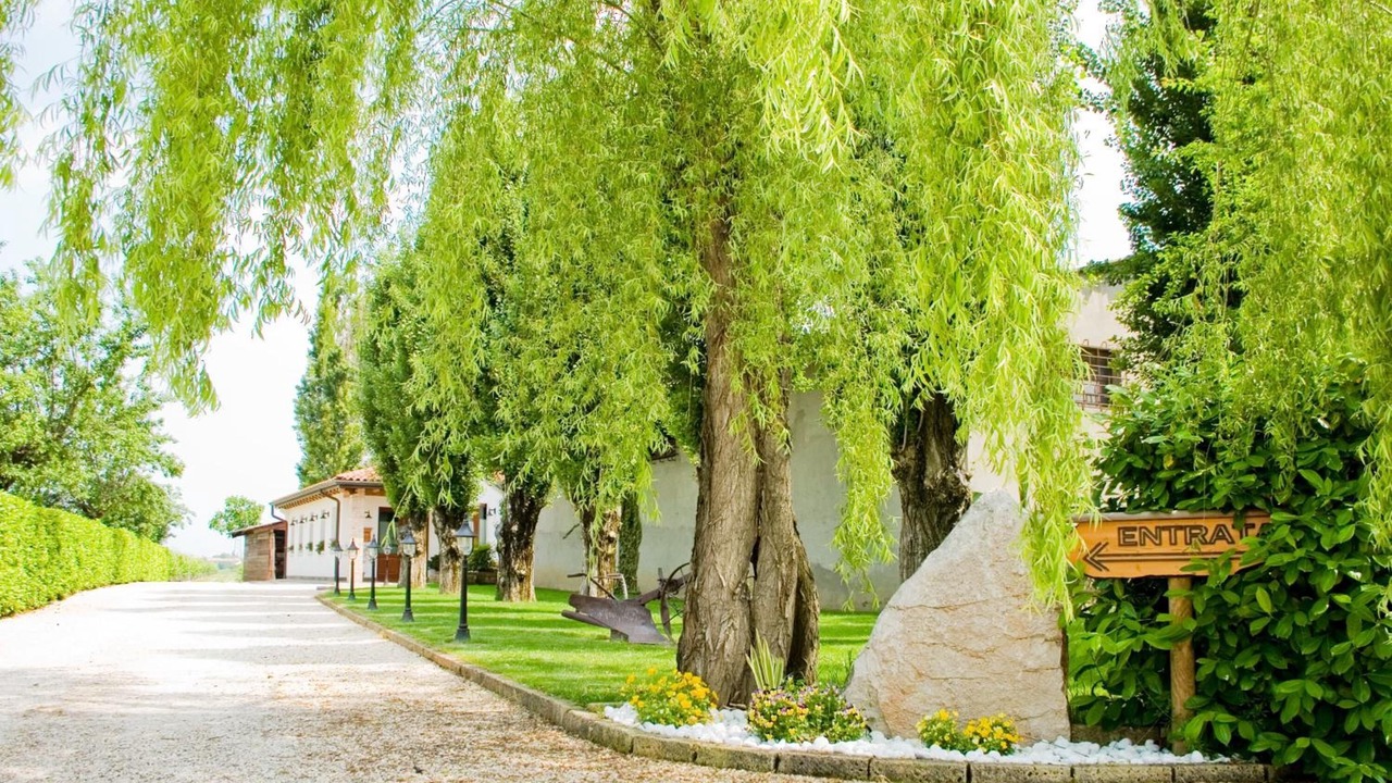 Photo of Outdoor in Meolo