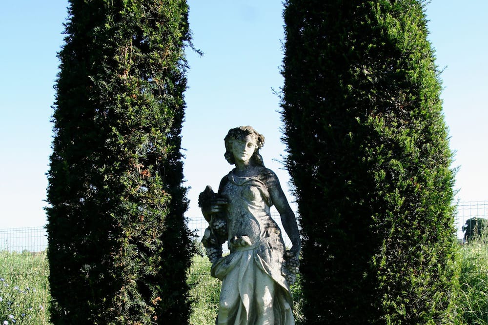 Photo of Outdoor in Mogliano Veneto