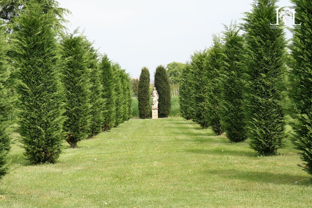 Photo of Outdoor in Mogliano Veneto