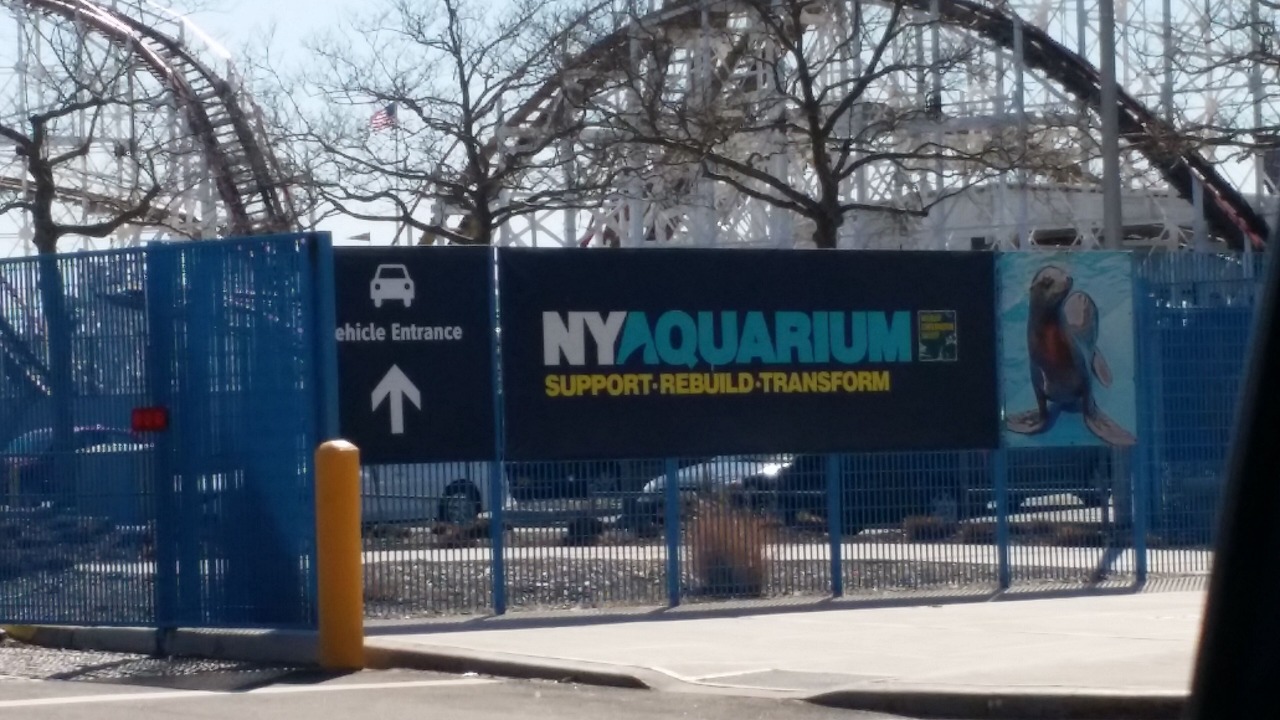 Photo of Outdoor in Brooklyn