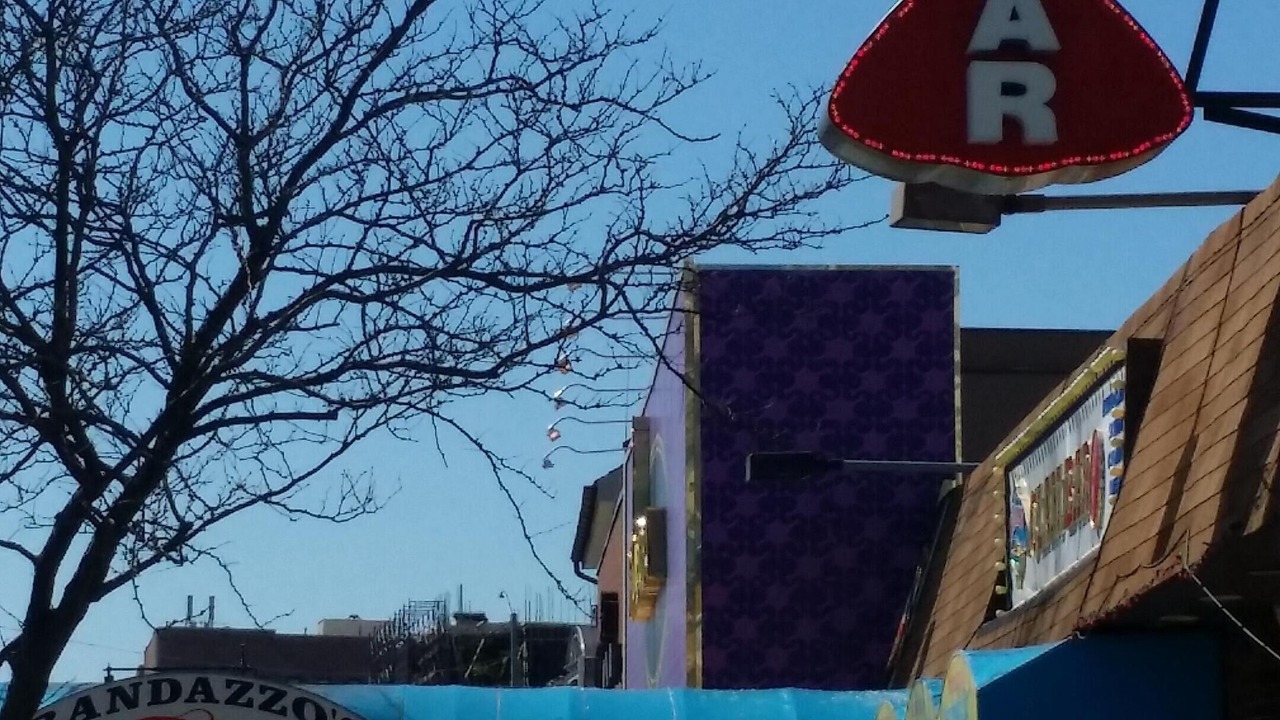 Photo of Outdoor in Brooklyn
