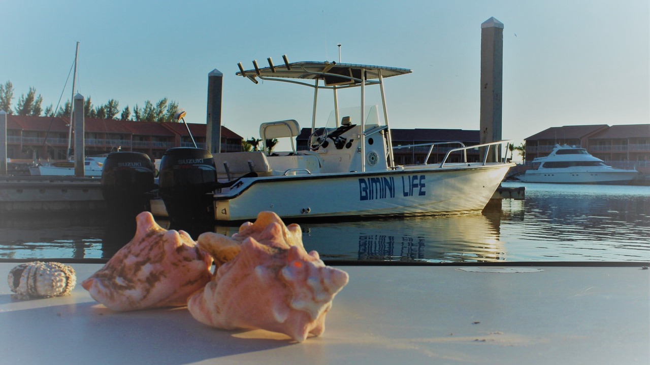Photo of Outdoor in South Bimini