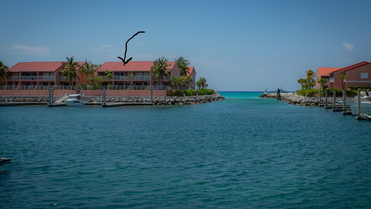 Photo of Others in South Bimini