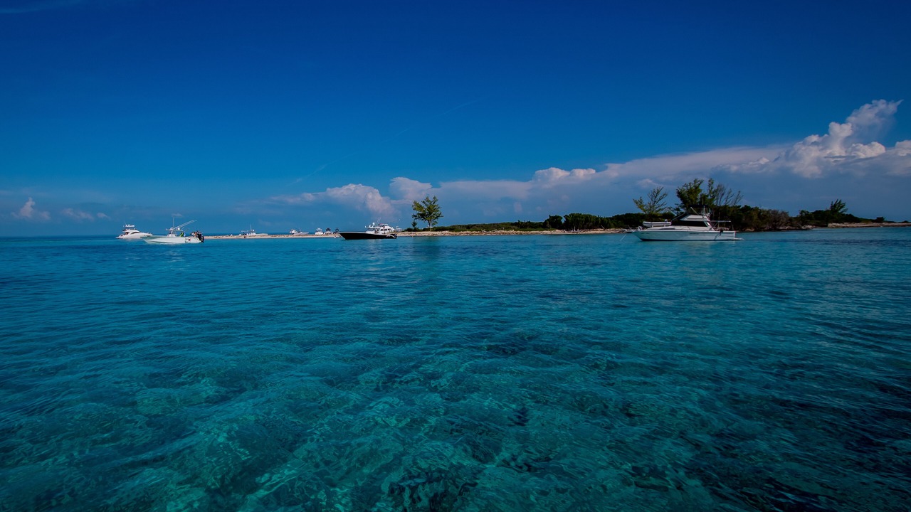 Photo of Others in South Bimini