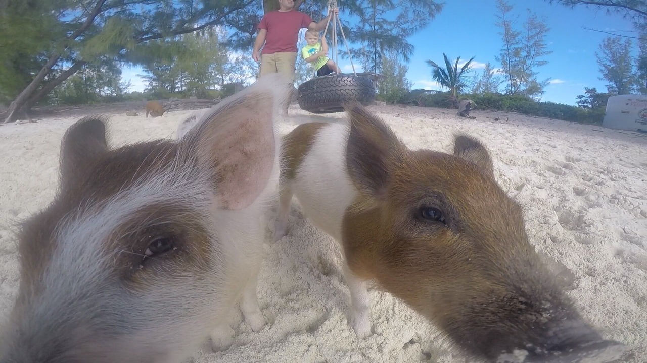 Photo of Others in Treasure Cay