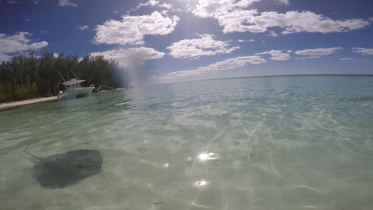 Photo of Outdoor in Treasure Cay