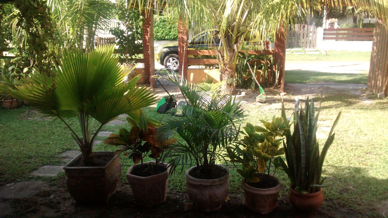 Photo of Outdoor in Praia Seca