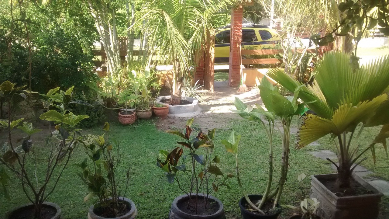 Photo of Outdoor in Praia Seca