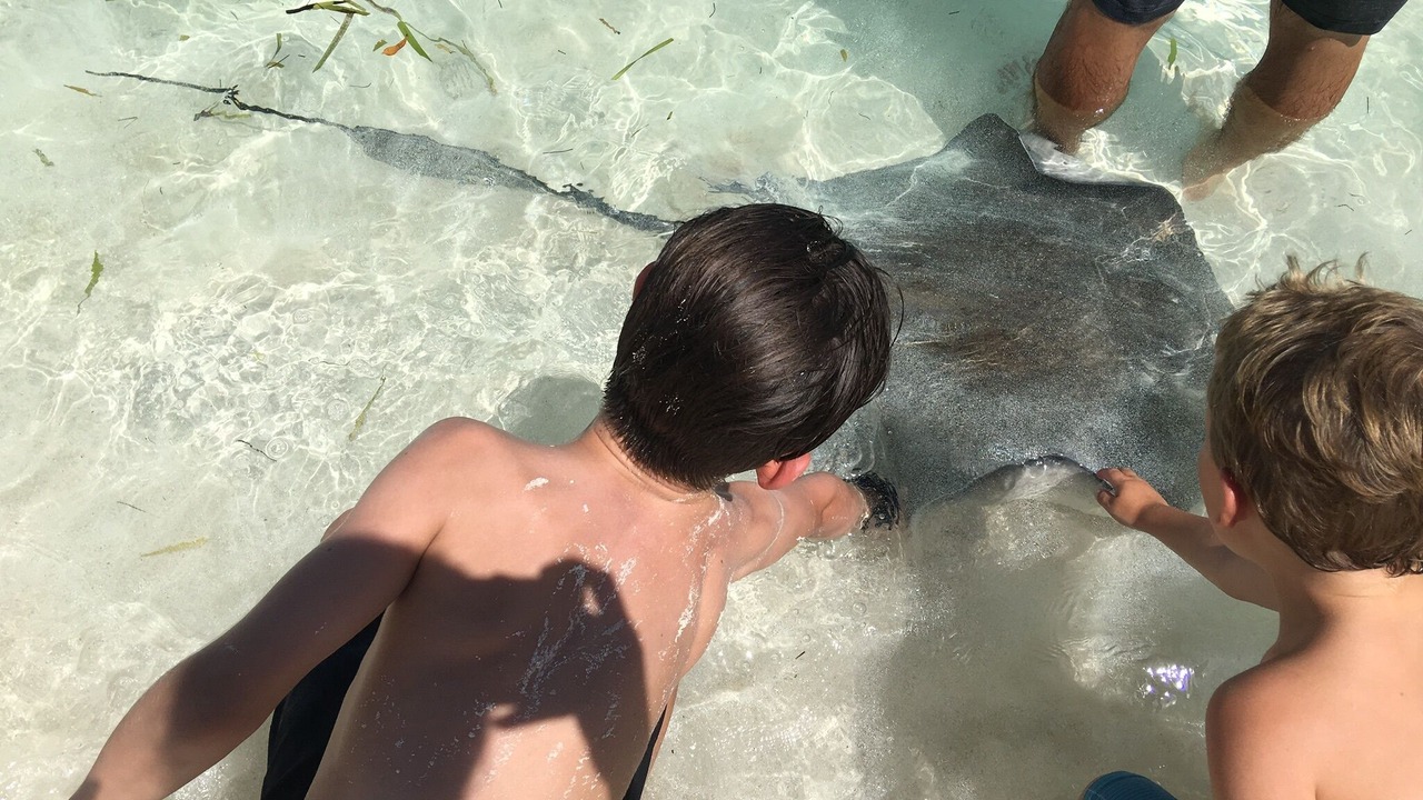 Photo of Others in Treasure Cay