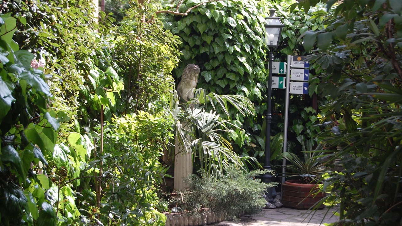 Photo of Outdoor in San Nicolo