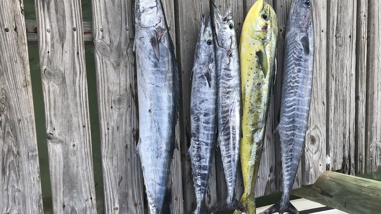 Photo of Others in Treasure Cay