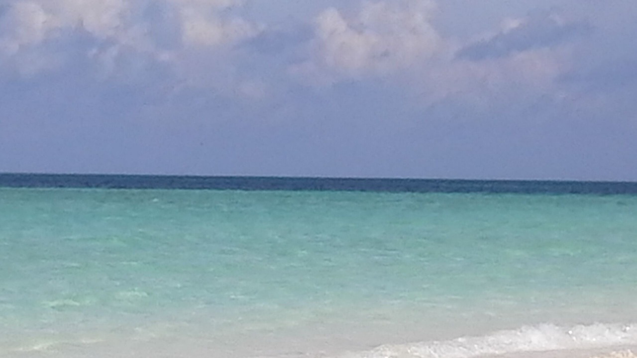 Photo of Others in Rainbow Bay