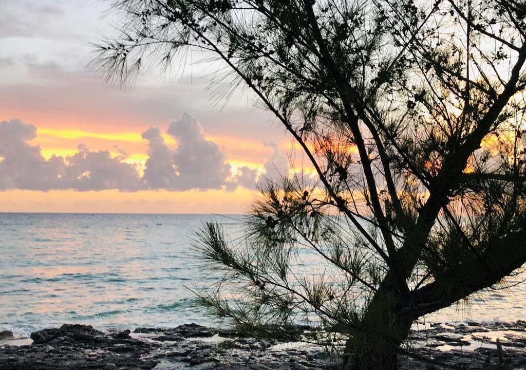 Photo of Others in Rainbow Bay