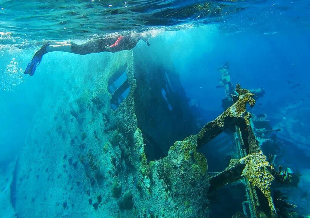 Photo of Outdoor in Rainbow Bay