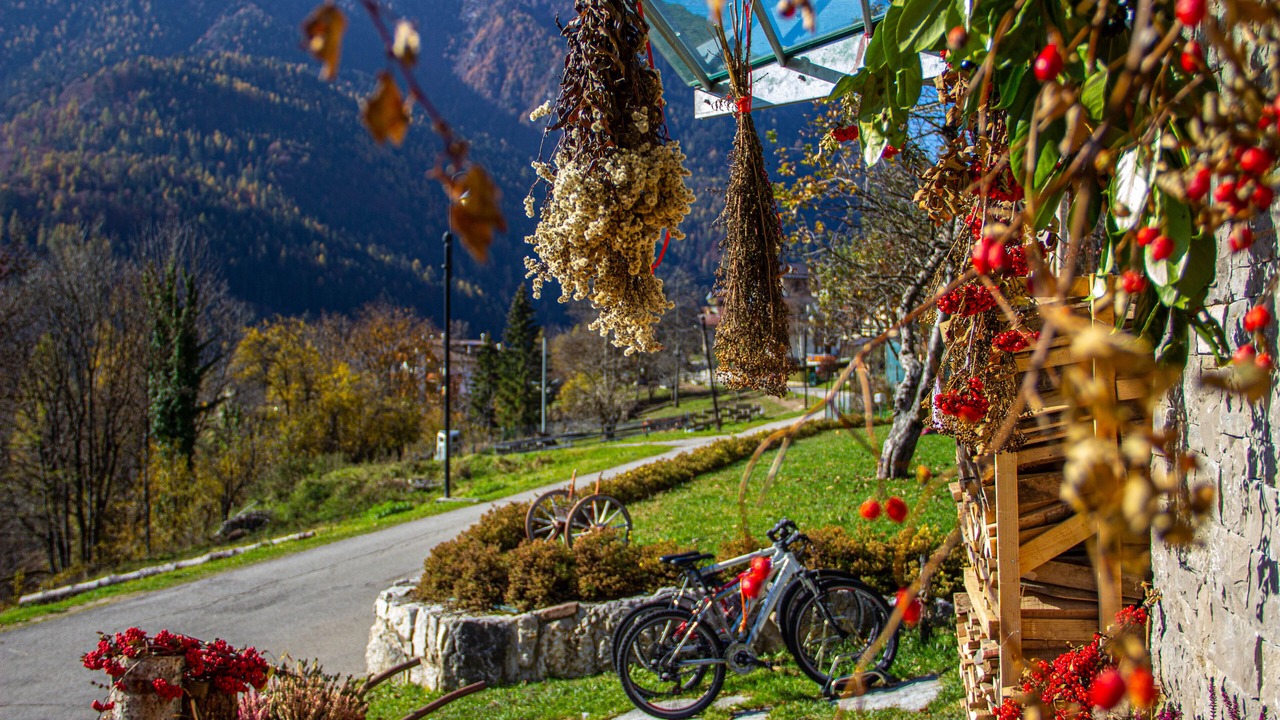 Photo of Outdoor in Venas di Cadore