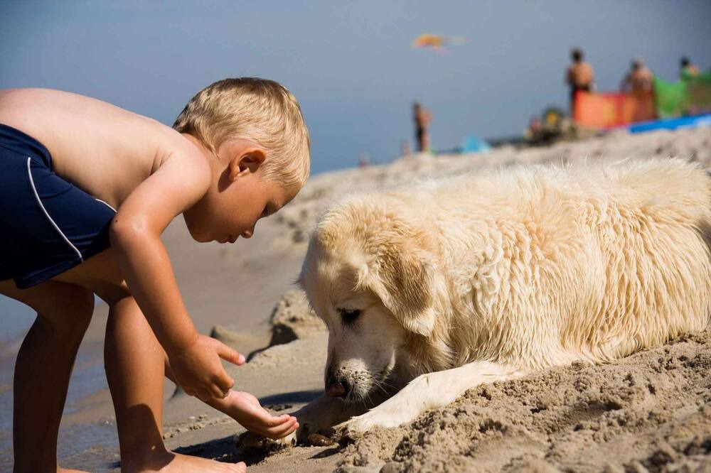 Photo of Others in Bibione Lido del Sole