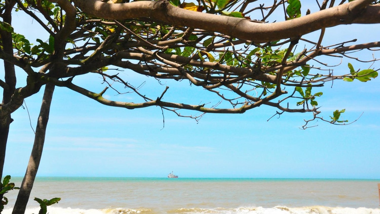 Photo of Others in Macae
