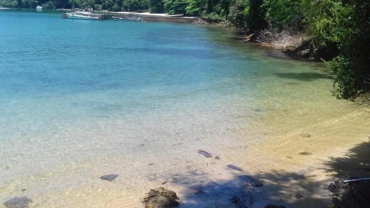 Photo of Others in Angra dos Reis